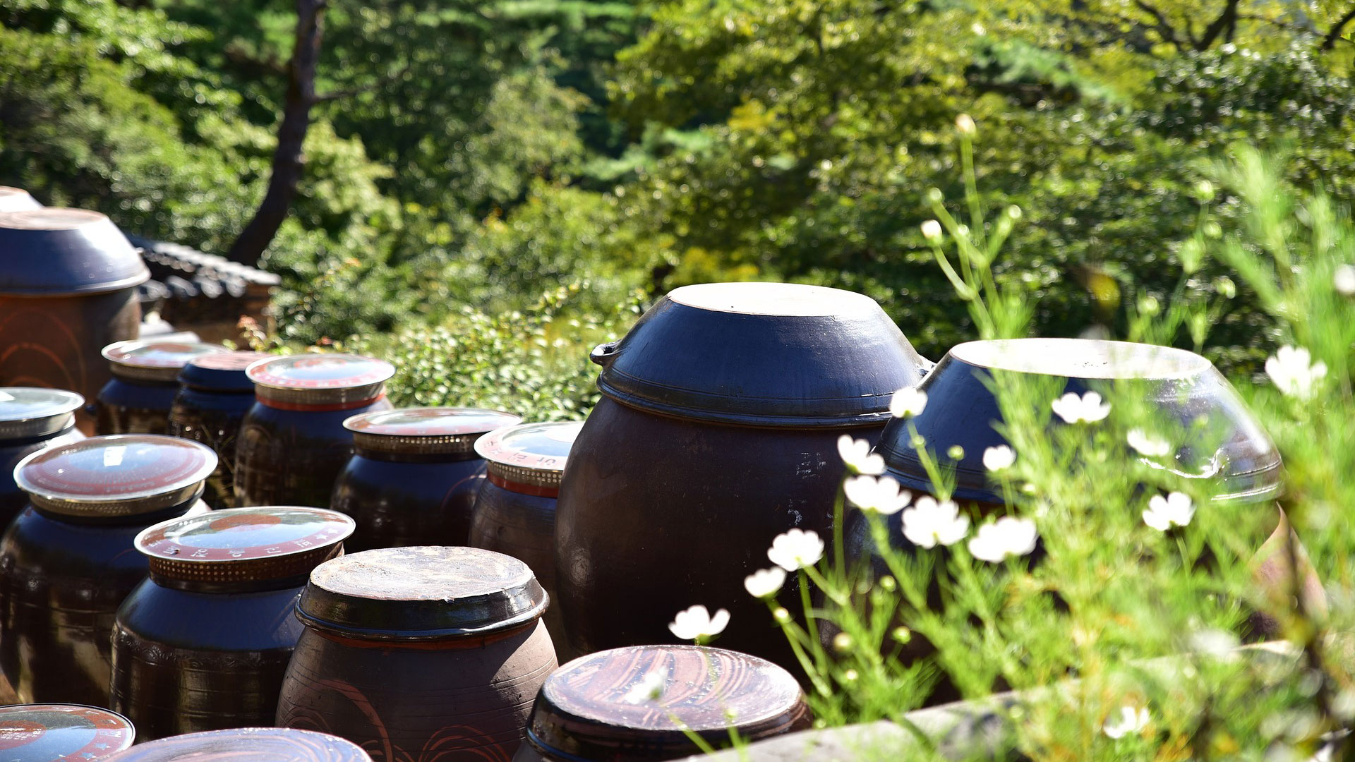 My Experience in Home to Home