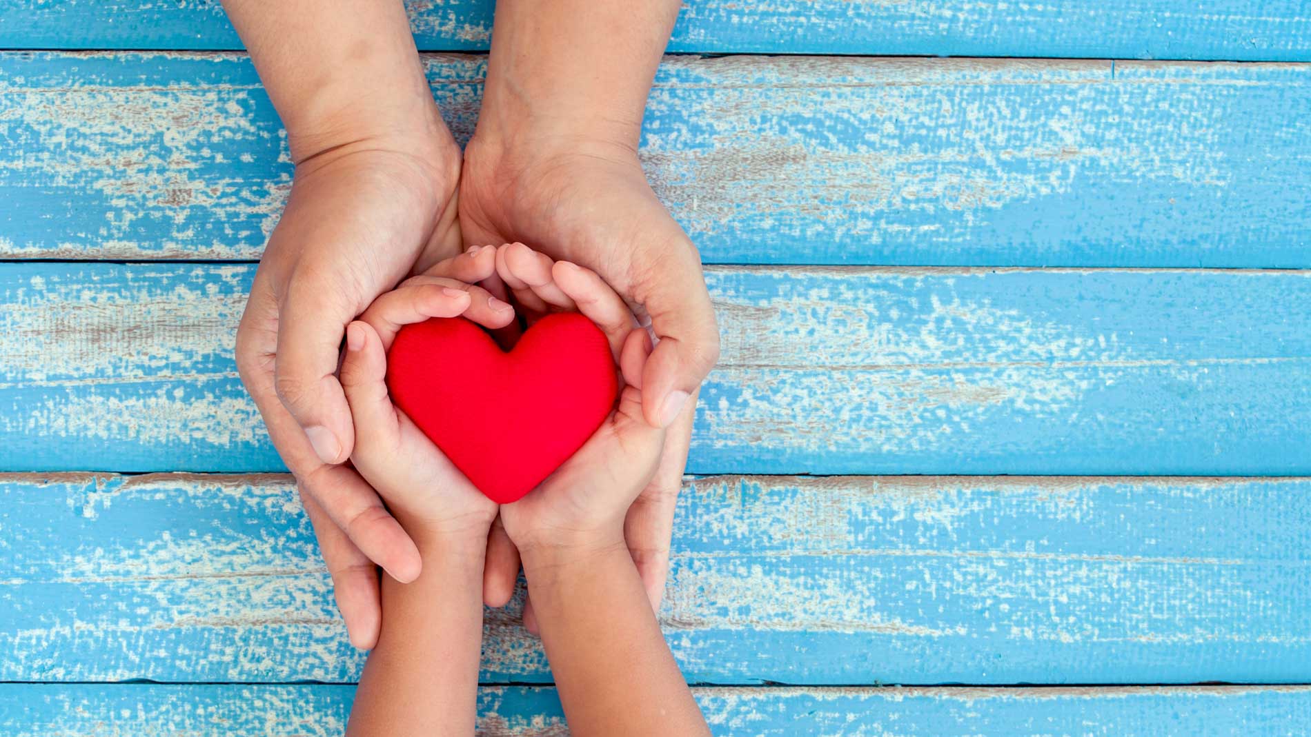 New Beginnings 2023 Annual Appeal