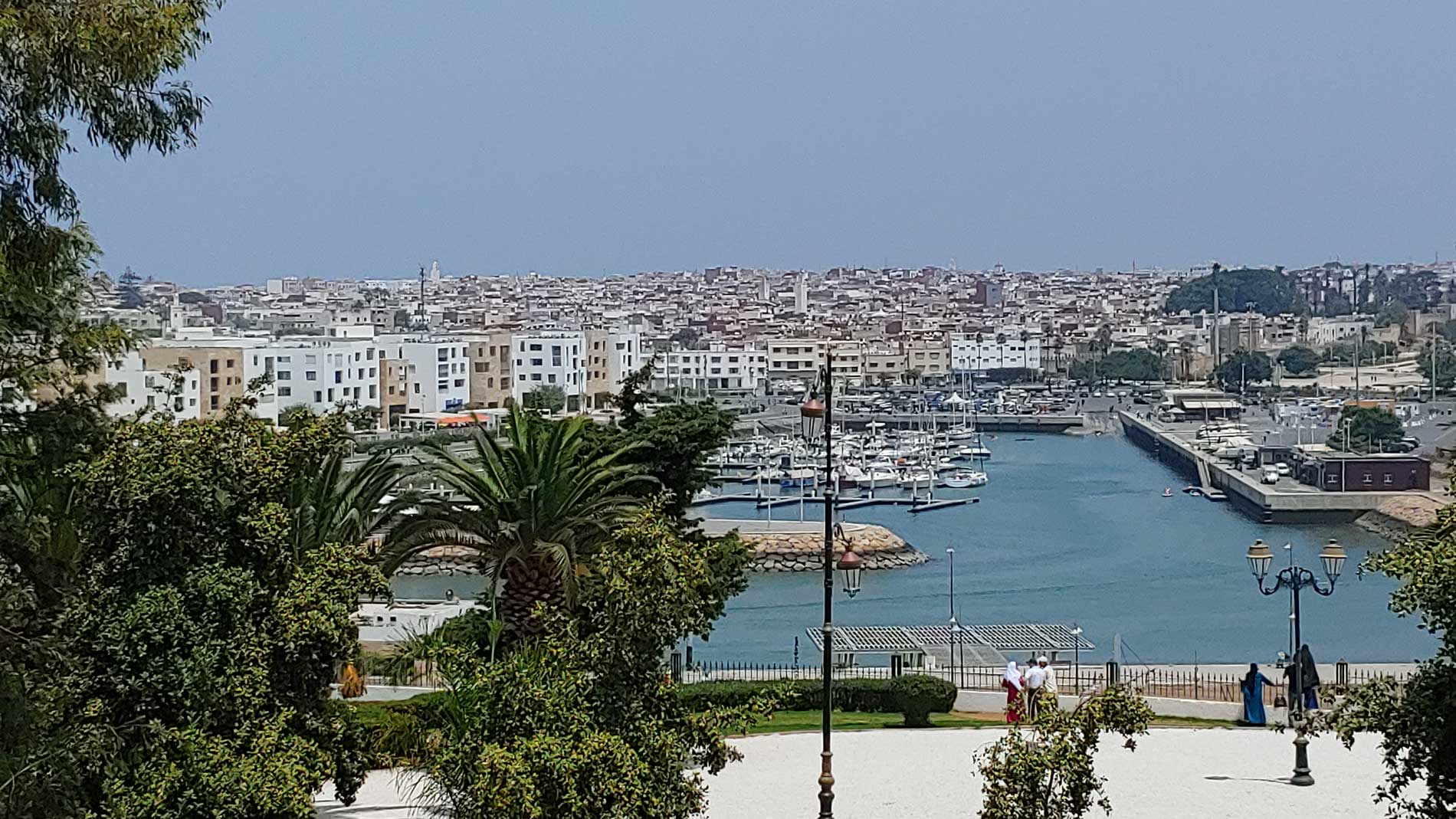 Announcing the Opening of Morocco Program