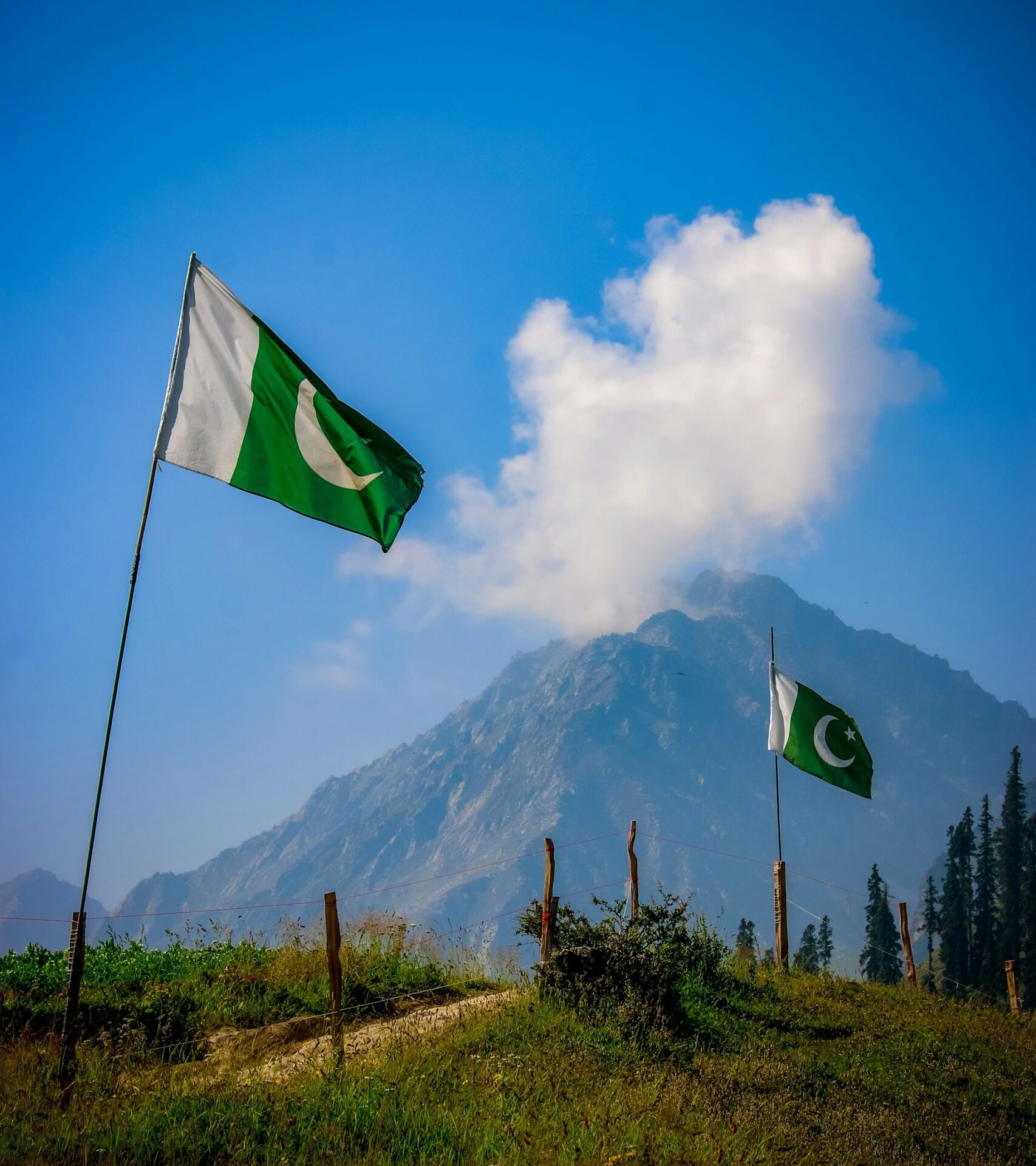 Pakistan Adoption Online Meeting